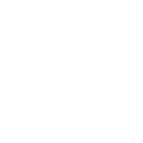 Icon Auto