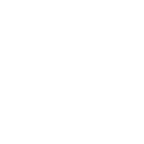 Icon Hauptuntersuchung