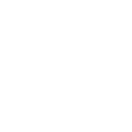 Ford Service Logo
