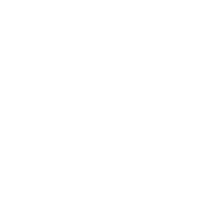 EU Neuwagen Logo