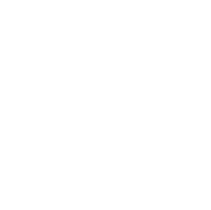 Ford Logo